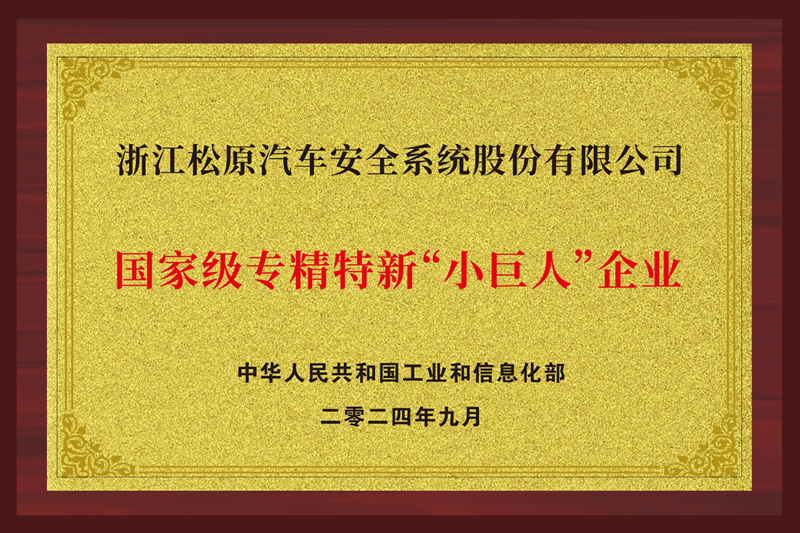 国家级专精特新“小巨人”企业
