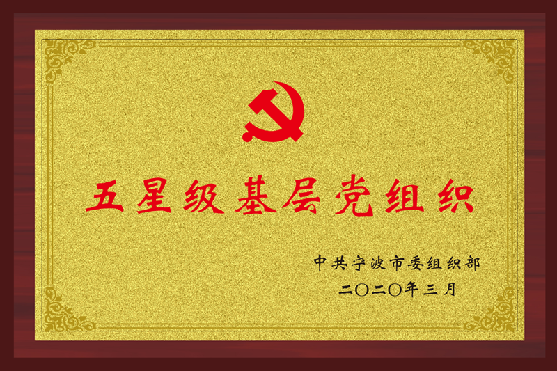 五星级下层党组织